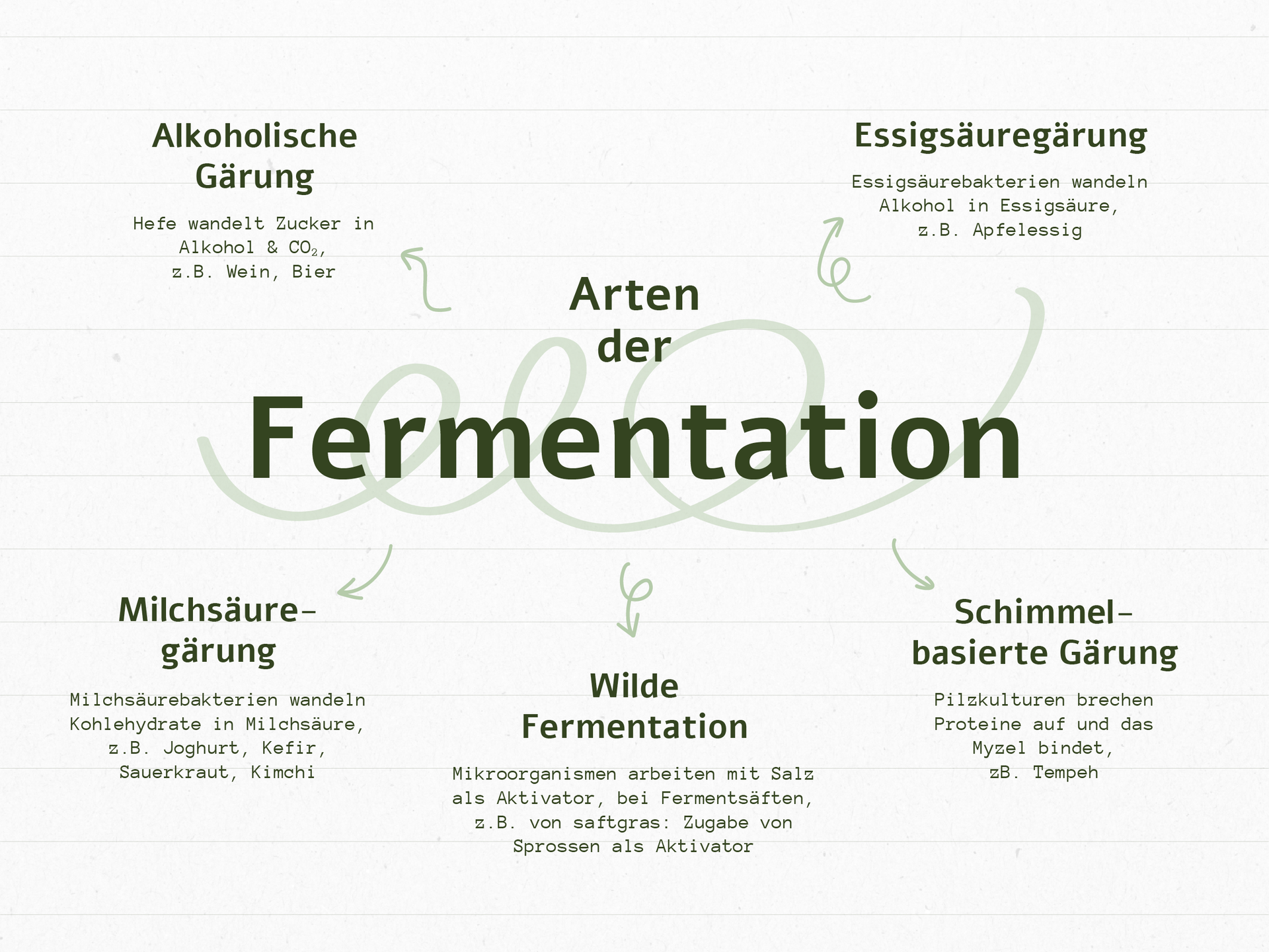 Arten der Fermentation